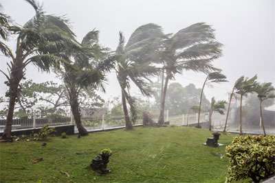 Hurricanes Can Trigger Allergies and Allergic Rhinitis