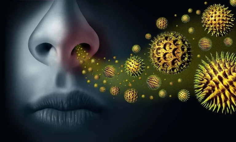 Nose And Pollen Illustration Seasonal Allergies
